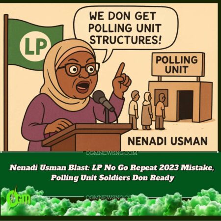 Nenadi Usman Talk Say 2027 Go Shock Opponents As LP Don Build Grassroots Army