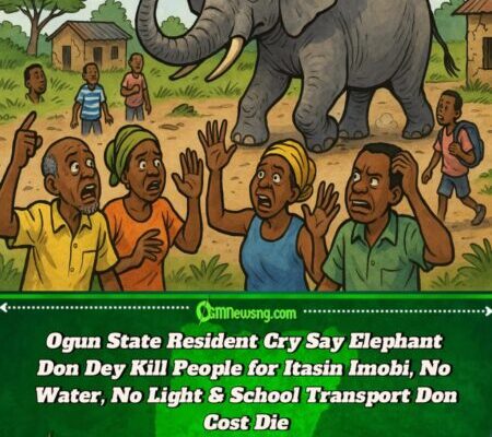 Ogun State Resident Cry Say Elephant Don Turn Human Hunter for Itasin Imobi, Pipu Still Dey Suffer Bad Road, No Light & Costly School Transport