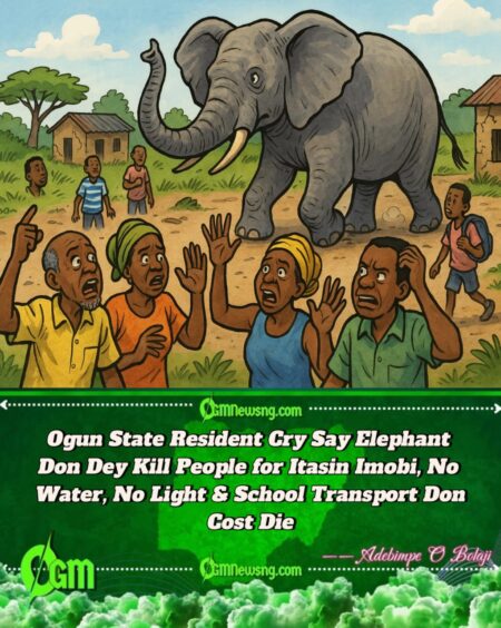 Ogun State Resident Cry Say Elephant Don Turn Human Hunter for Itasin Imobi, Pipu Still Dey Suffer Bad Road, No Light & Costly School Transport