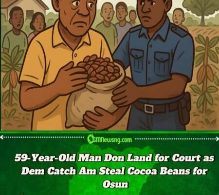 One 59-Year-Old Man Land for Court as Dem Catch Am Steal Cocoa Beans for Osun