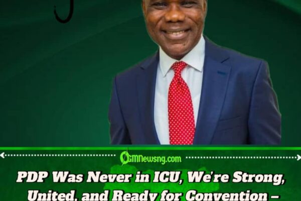 PDP Was Never in ICU, We Are United and Ready for Convention – Debo Ologunagba