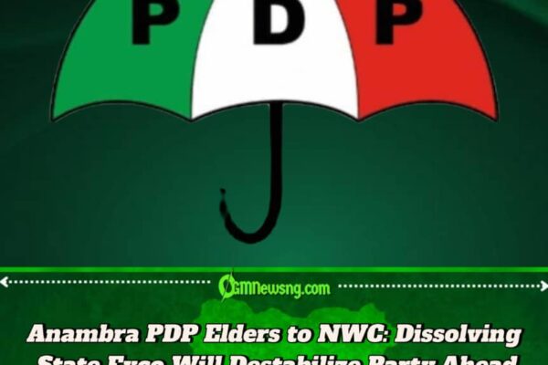 No Lawsuit, No Crisis: Anambra PDP Elders Dismiss Rumors, Warn NWC Against Executive Shake-Up