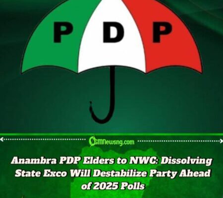 No Lawsuit, No Crisis: Anambra PDP Elders Dismiss Rumors, Warn NWC Against Executive Shake-Up