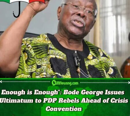 PDP Elder Demands Expulsion of "Progress Terminators" as Party Faces Leadership Showdown ::If You're Progress Terminator, Ship Yourself Out, Bode George Warns PDP Dissenters