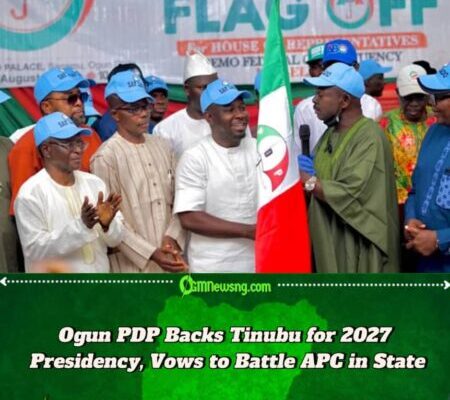 2027: Ogun PDP Endorses Tinubu as Presidential Candidate