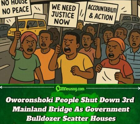 3rd Mainland Bridge Wahala: Oworonshoki People Block Road Over Demolition Palava