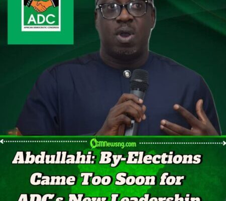 ADC Urges Nigerians Not to Judge Party by By-Election Defeat