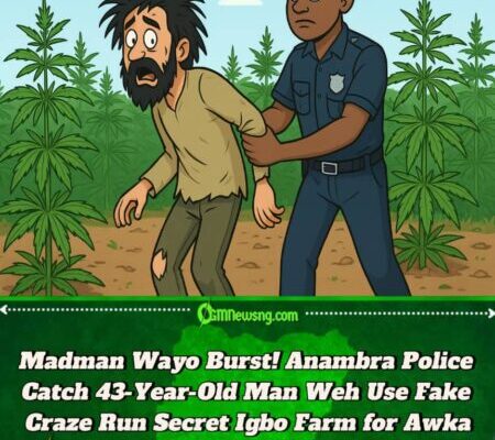 Anambra State Police Catch 43-Year-Old Man Weh Pretend Like Madman to Run Secret Igbo Farm for Awka