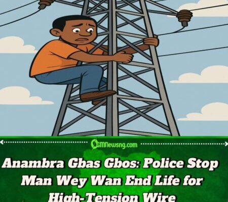 Police for Anambra Rescue Man Wey Wan Kpai Himself for High-Tension Pole Drama