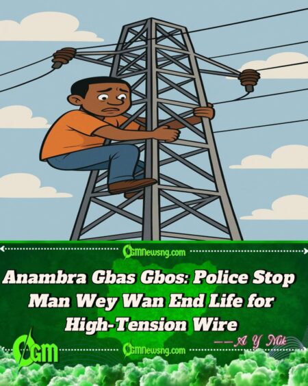 Police for Anambra Rescue Man Wey Wan Kpai Himself for High-Tension Pole Drama
