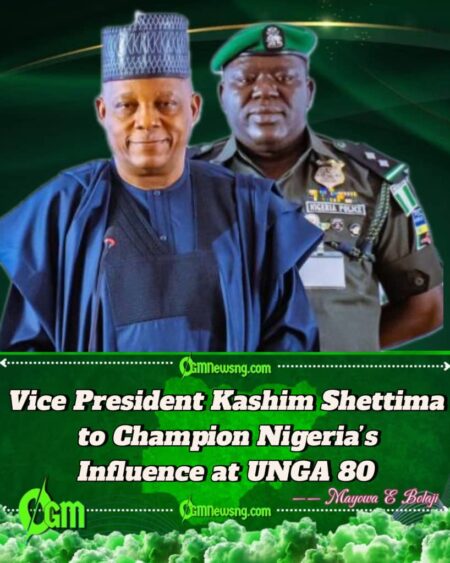 Vice President Kashim Shettima Seizes Powerful Spotlight as Tinubu Skips the 80th United Nations General Assembly (UNGA)