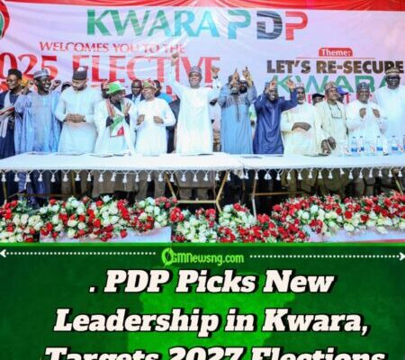 Adamu Bawa Elected Kwara PDP Chairman at Peaceful Congress