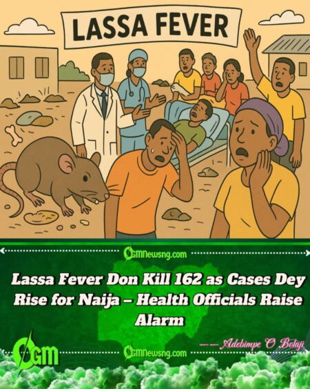 Lassa Fever Don Kill 162 as Cases Dey Rise for Naija – Government Raise Big Alarm