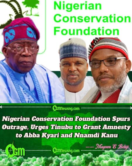 Nigerian Conservation Foundation Divides Opinion as It Demands Tinubu’s Clemency for Abba Kyari and Nnamdi Kanu