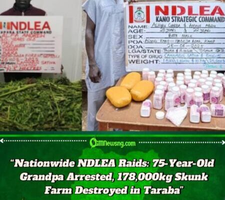 NDLEA Destroys 178,750kg Cannabis in Taraba Forest as 75-Year-Old Grandfather Among Suspects Arrested Nationwide
