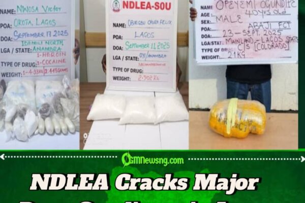 NDLEA Arrests Two Drug Kingpins, Seizes Cocaine, Heroin, Meth in Lagos