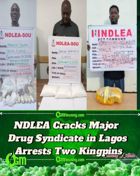 NDLEA Arrests Two Drug Kingpins, Seizes Cocaine, Heroin, Meth in Lagos