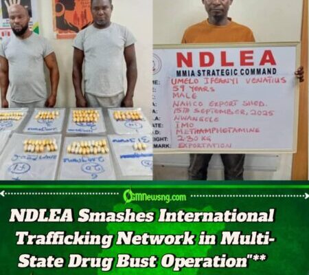 NDLEA Intercepts 116 Drug Wraps from Brazil Returnees in Major Airport Bust