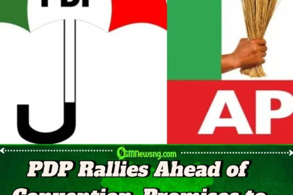PDP Dismisses Tinubu’s 2027 Endorsements as ‘Panic Mode’
