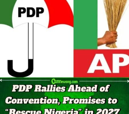 PDP Dismisses Tinubu’s 2027 Endorsements as ‘Panic Mode’