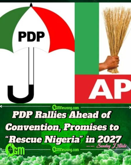 PDP Dismisses Tinubu’s 2027 Endorsements as ‘Panic Mode’