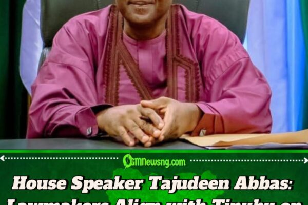 House Speaker Tajudeen Abbas: Reps stand with Tinubu’s borrowing plan, but prudence is key