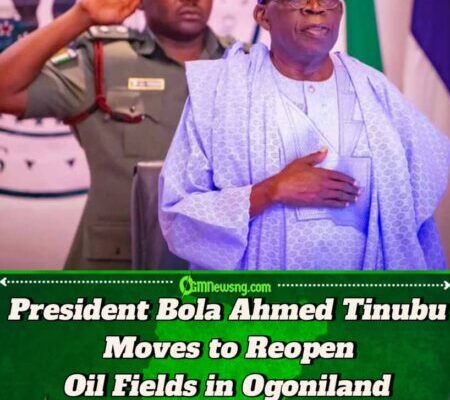 President Bola Ahmed Tinubu Orders NSA to Lead Talks on Ogoni Oil Resumption
