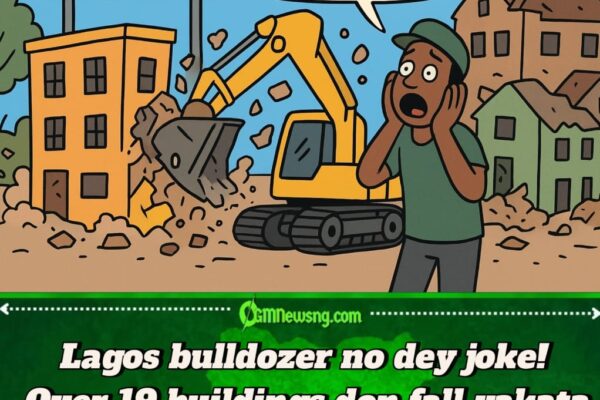 Lagos Govt Scatter Trade Fair Plaza: Over 19 Buildings Demolish for New Mandela