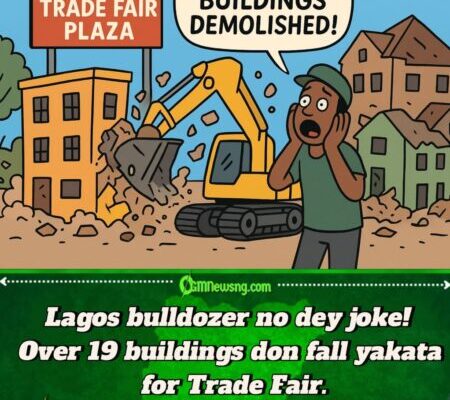 Lagos Govt Scatter Trade Fair Plaza: Over 19 Buildings Demolish for New Mandela