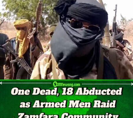 Unknown Gunmen Attack Zamfara Village, One Feared Dead and Abduct 18 Women and Children