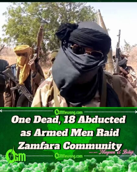 Unknown Gunmen Attack Zamfara Village, One Feared Dead and Abduct 18 Women and Children