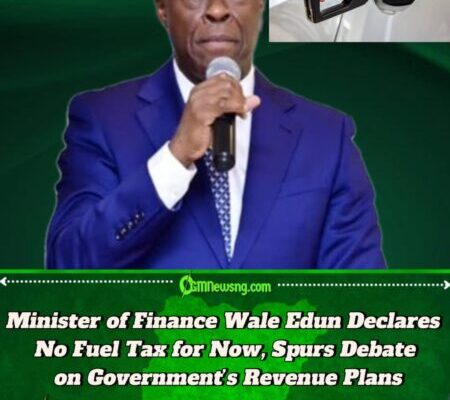 Minister of Finance Wale Edun Assures Nigerians: No Immediate Plan to Introduce 5% Fuel Tax