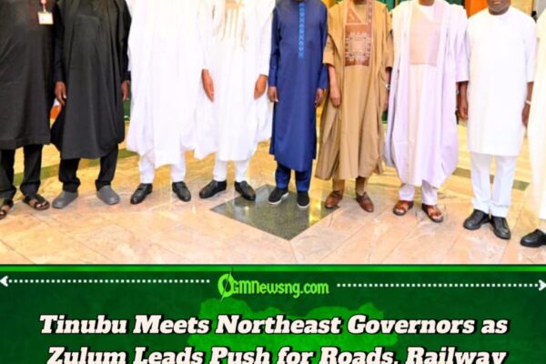 Governor Zulum Leads Northeast Governors to Tinubu, Seeks Completion of 17 Road Projects and Oil Exploration