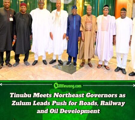 Governor Zulum Leads Northeast Governors to Tinubu, Seeks Completion of 17 Road Projects and Oil Exploration