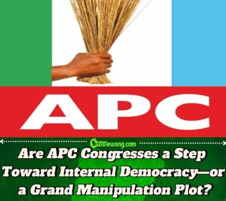 Will APC’s 2026 Convention Unite the Party or Trigger a Massive Implosion?