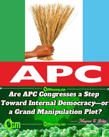 Will APC’s 2026 Convention Unite the Party or Trigger a Massive Implosion?
