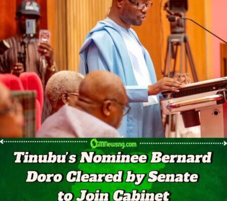 Senate Approves Bernard Doro as Minister After Short Screening