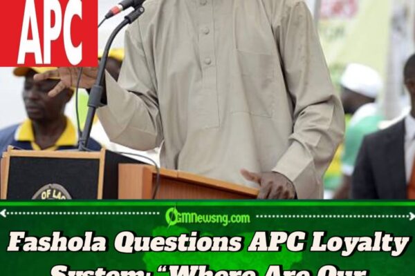 Babatunde Raji Fashola Slams Party Elders: “If It’s Important to Us, It Must Be Important to Them!