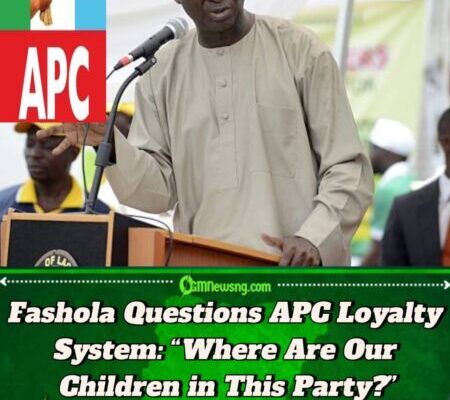 Babatunde Raji Fashola Slams Party Elders: “If It’s Important to Us, It Must Be Important to Them!