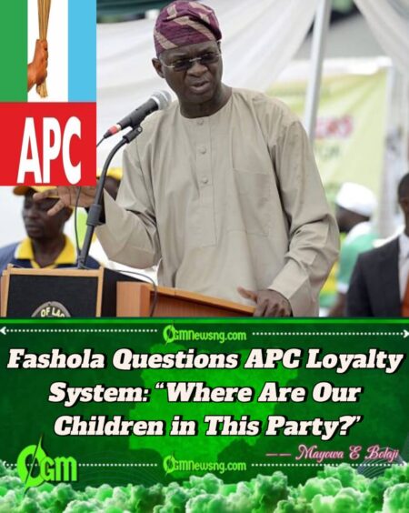 Babatunde Raji Fashola Slams Party Elders: “If It’s Important to Us, It Must Be Important to Them!