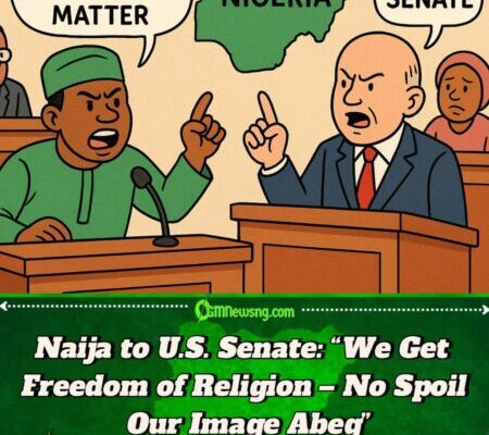 Naija House Of Reps Tell U.S. Senate: “Abeg, No Be Genocide Matter—Make Una Calm Down!