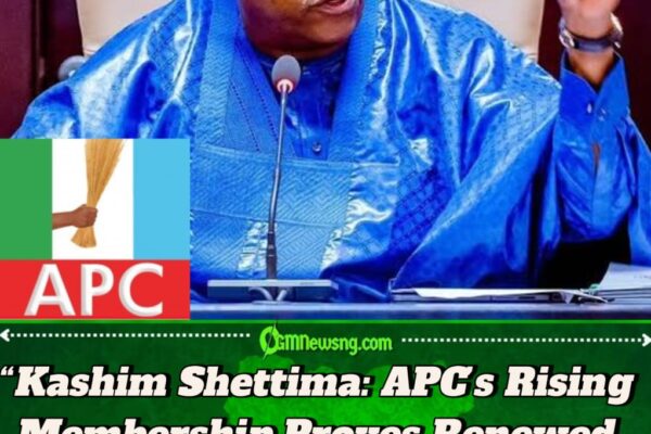 Vice President Kashim Shettima Says Defections to APC Expose Cracks in Opposition, Strengthen Ruling Party