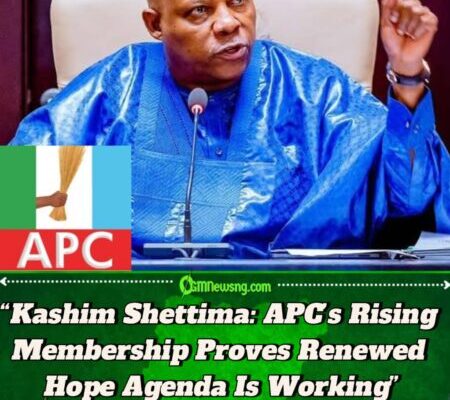 Vice President Kashim Shettima Says Defections to APC Expose Cracks in Opposition, Strengthen Ruling Party