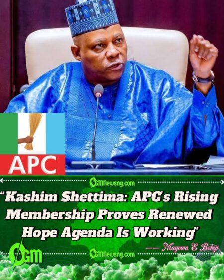 Vice President Kashim Shettima Says Defections to APC Expose Cracks in Opposition, Strengthen Ruling Party