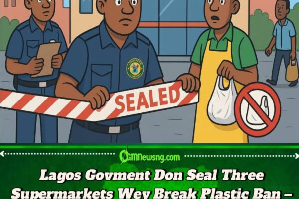 Lagos Govment Don Seal Three Big Supermarkets Wey No Gree Stop to Use Plastic Bag