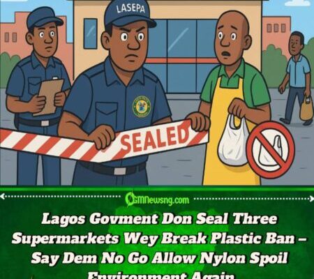 Lagos Govment Don Seal Three Big Supermarkets Wey No Gree Stop to Use Plastic Bag