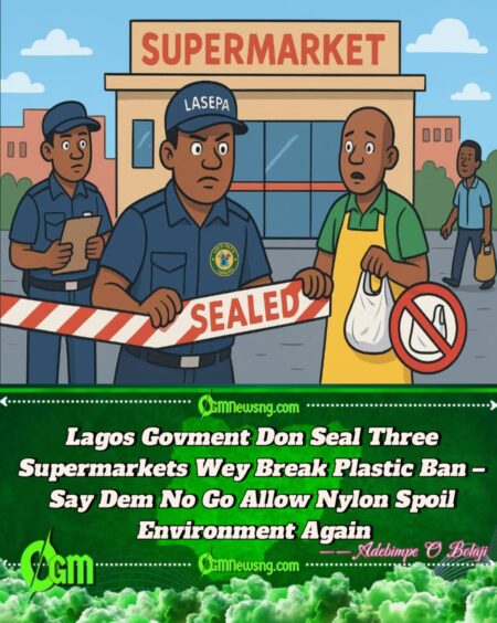 Lagos Govment Don Seal Three Big Supermarkets Wey No Gree Stop to Use Plastic Bag