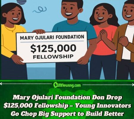 Mary Ojulari Foundation Don Launch $125,000 Innovation Fellowship – Young Naija Innovators Go Gain Big Chance