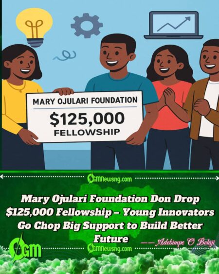 Mary Ojulari Foundation Don Launch $125,000 Innovation Fellowship – Young Naija Innovators Go Gain Big Chance