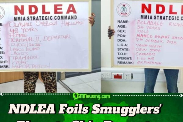NDLEA Uncovers International Drug Smuggling Rings Concealing Illicit Substances in Frozen Snails and Electrical Bulbs